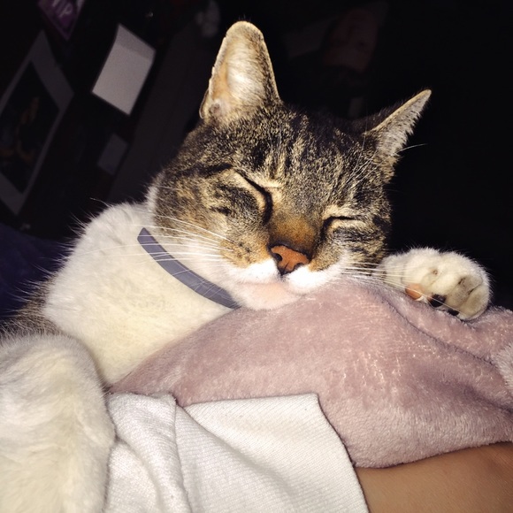 PSA : My Furry Friends - Picture 7 of 12